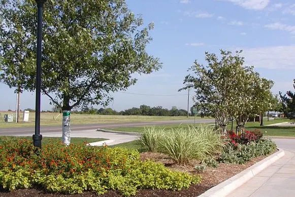 Parking lot landscaping