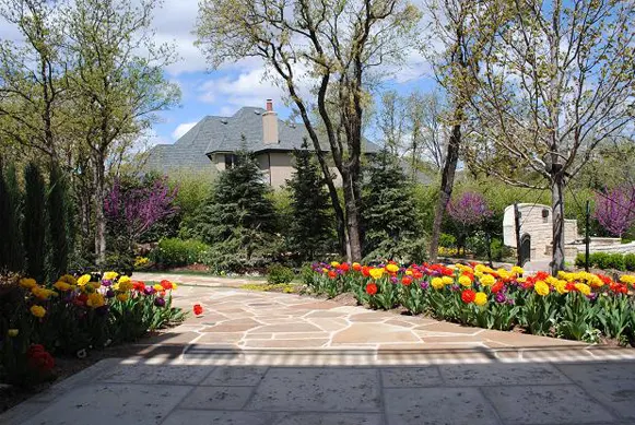 Spring scene