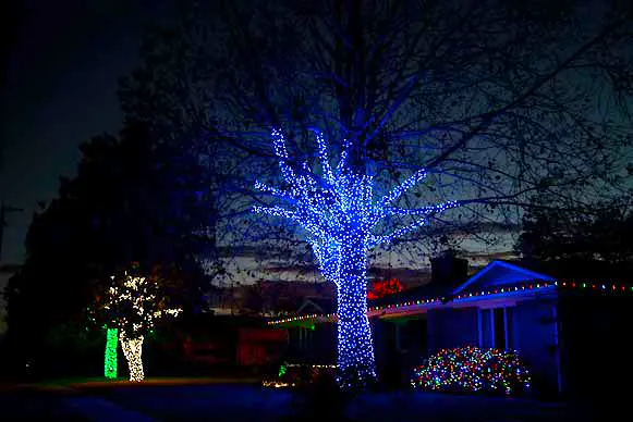 Large tree wrap