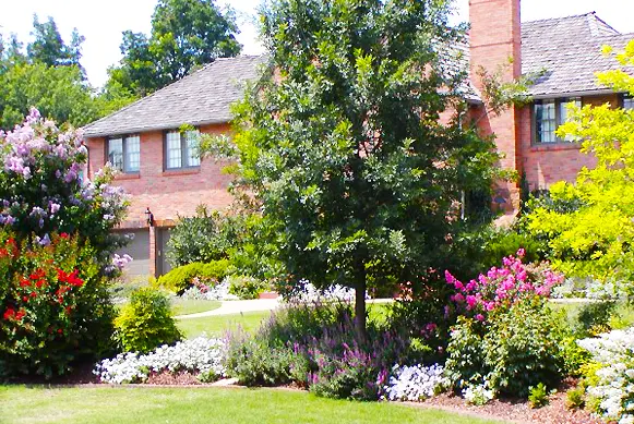 Front yard landscape