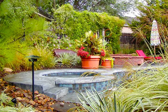 Pool area landscaping and vine-covered trellis