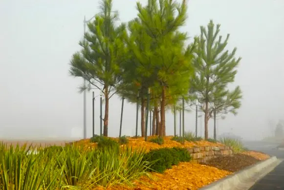 Shopping center entry median