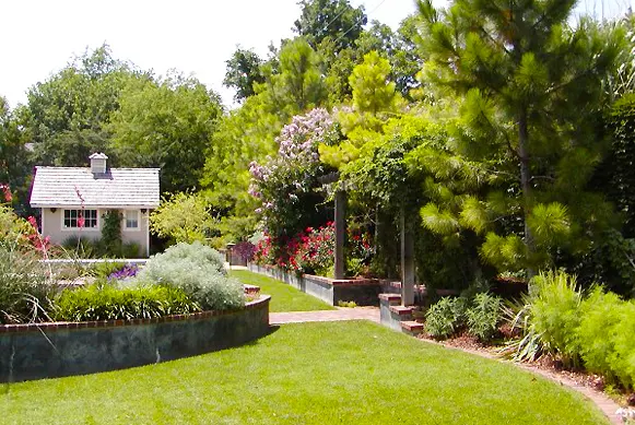 Back yard landscape and pergola