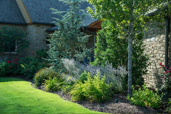 Shrub bed detail