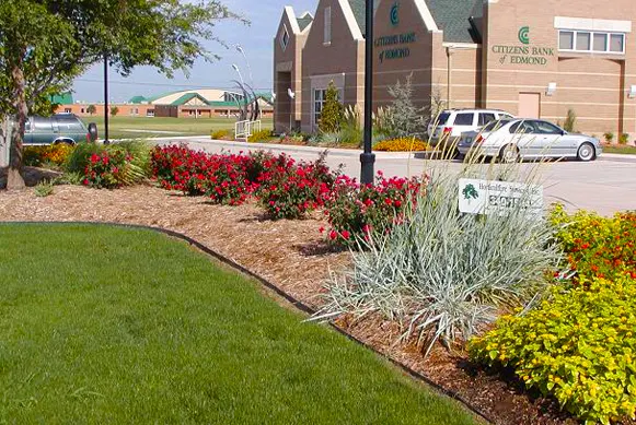Commercial landscape at bank