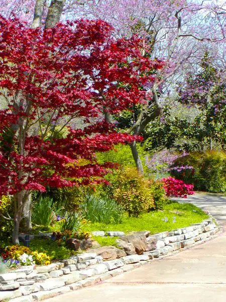 Spring has sprung!