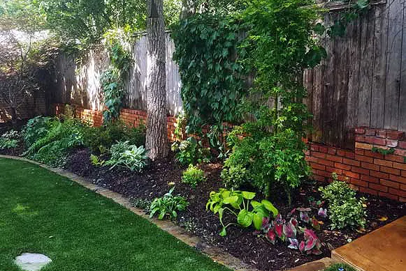 Shade garden