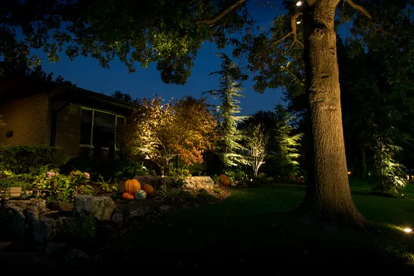 Garden Lighting
