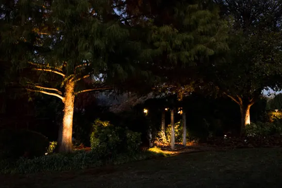 Horticulture Services Lighting