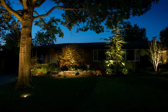 Yard Accent Lighting