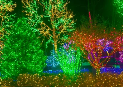 Christmas Lighting
