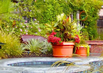 Flower Beds