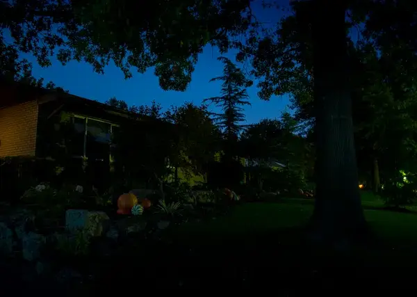 Garden Landscape Lighting Before Garden Landscape Lighting Before