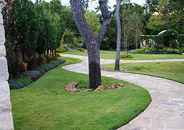 Park Flagstone Path and Landscaping After
